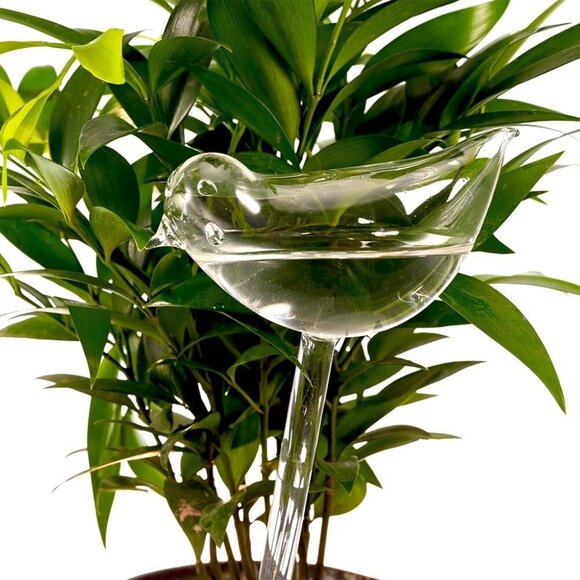 Glass Plant Watering Globes, Self Watering Globes Bird Shape, Self Watering Plan - Picture 6 of 7